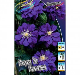 Кири Те Канава 2шт каперсы