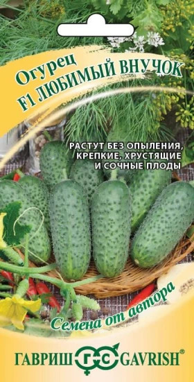 Любимый внучок Ц(Г)