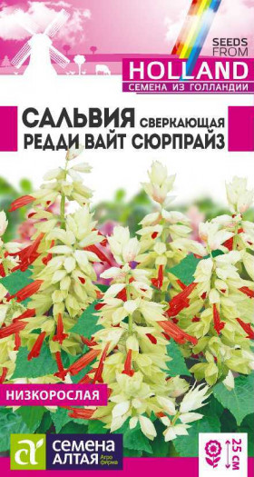 Редди Вайт Сюрпрайз Ц(Алт)