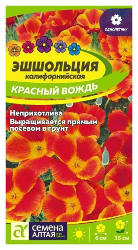 Красный Вождь Ц(Алт)