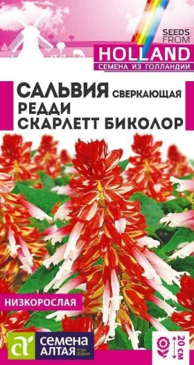 Редди Скарлет биколор  Ц(Алт)