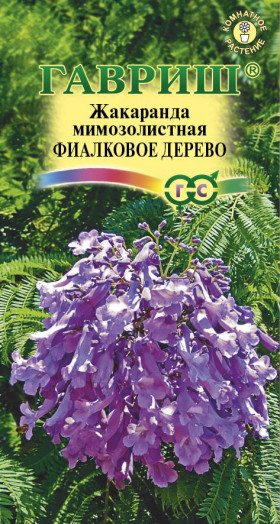 Фиалковое дерево 3шт. Ц(Г)