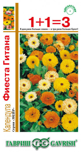 Фиеста Гитана 1+1 Ц(Г)