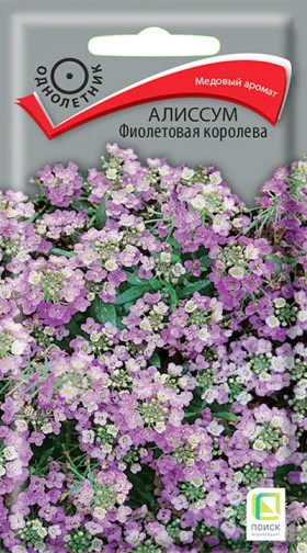 Фиолетовая королева 0,3 гр.Ц(Поиск)
