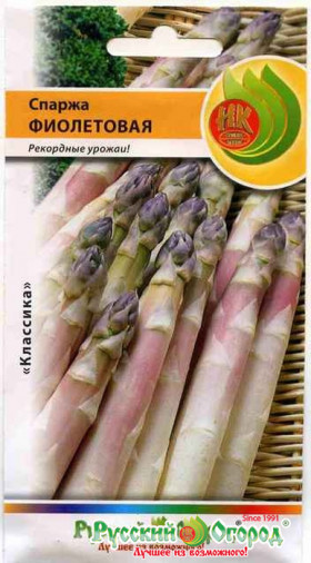 Фиолетовая Ц(Н)