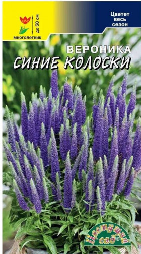 Синие колоски/Цветущий Сад