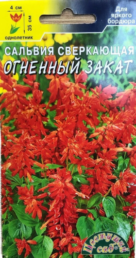 Огненный закат/Цветущий Сад