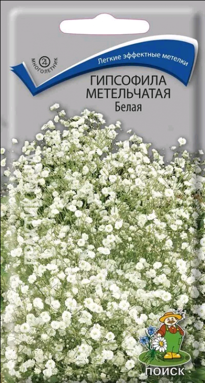 Метельчатая белая 0,2гр Ц(Поиск)