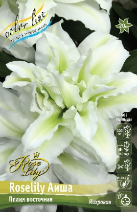 Roselily Аиша (вост махр) 5шт