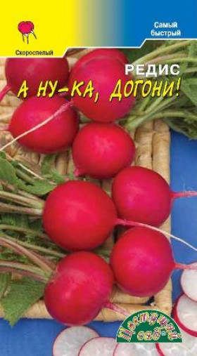 А ну-ка, догони!/Цветущий Сад