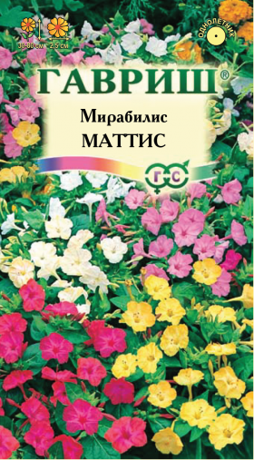 Матис Ц(Г)