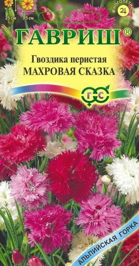 Сказка махровая перистая  Ц(Г)