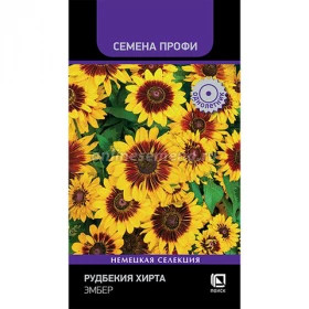 Эмбер хирта Ц(Поиск)