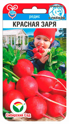 Красная заря СС