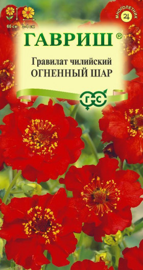 Огненный шар Ц(Г)