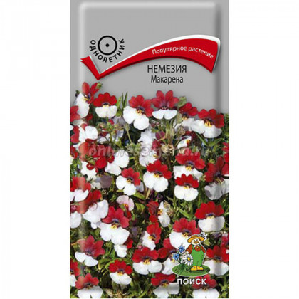 Макарена Ц(Поиск)