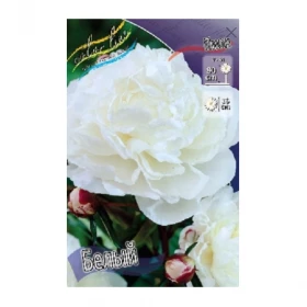 Белый (махр) 1шт