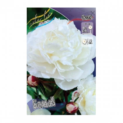 Белый (махр) 1шт