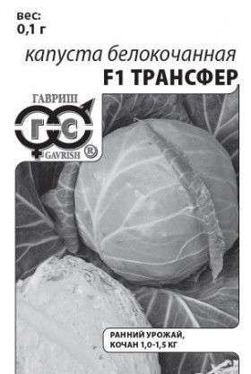 Трансфер 0,1гр.Б(Г)