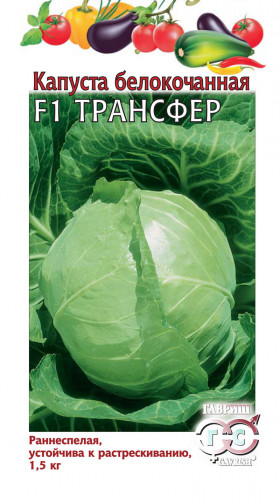 Трансфер Ц(Г)