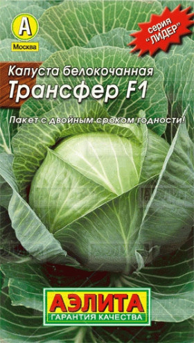 Трансфер Лидер