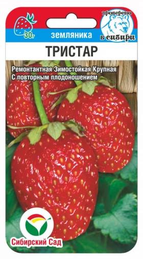 Тристар земляника 10 СС