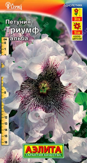 Триумф Альба Ц(А)