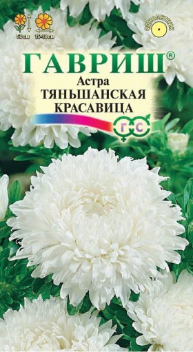 Тяньшанская красавица Ц(Г)