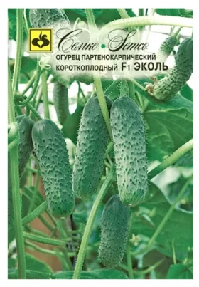 Эколь Семко