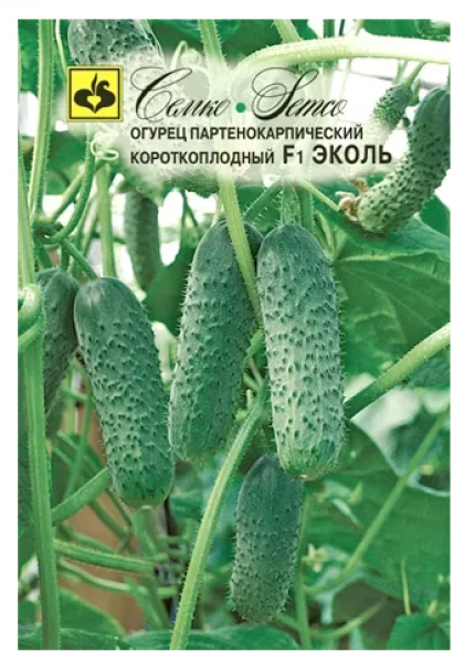 Эколь Семко