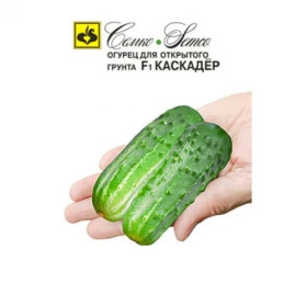 Каскадер Семко