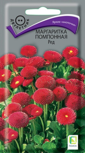 Ред помпонная Ц(Поиск)