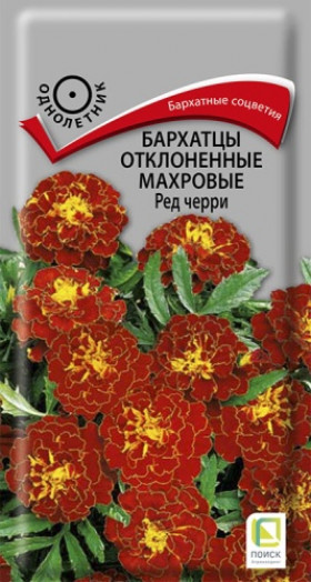 Ред Черри откл.махр. Ц(Поиск)