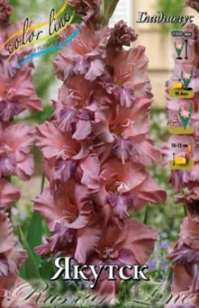 Якутск 10/12 8шт