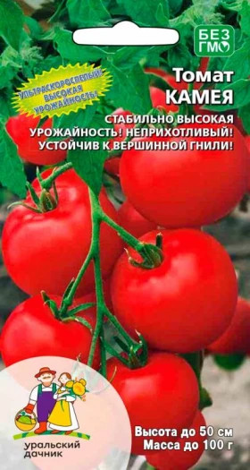 Камея Ц(УД) +50% бесплатно