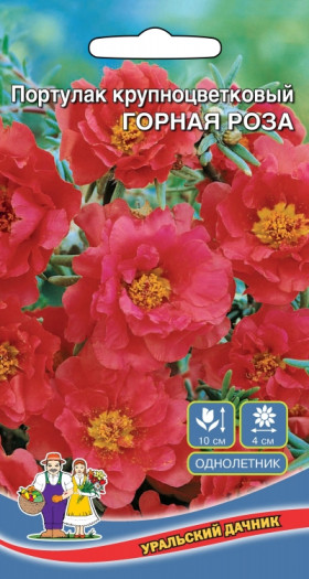 Горная роза Ц(УД)
