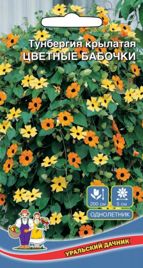 Цветные бабочки крылатая Ц(УД)