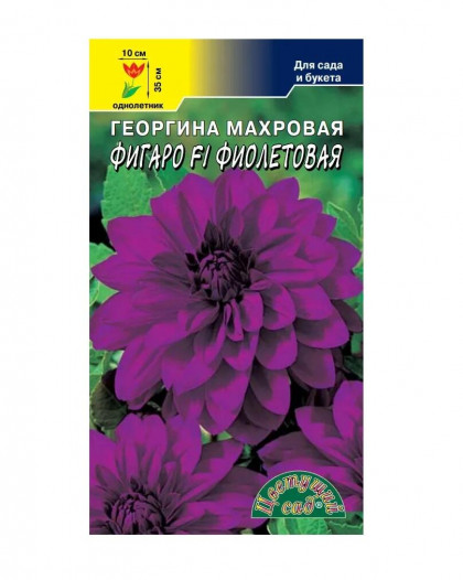 Фигаро Феиолетовая махровая /Цветущий Сад