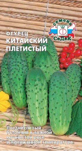 Китайский Плетистый Ц(С)