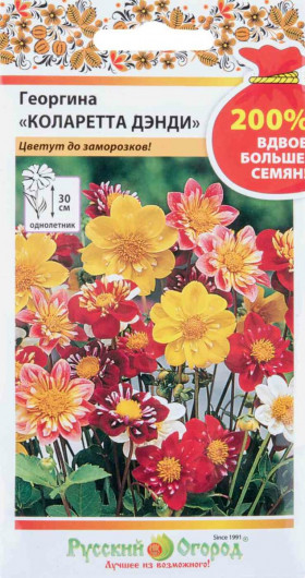 Коларетта Дэнди смесь Ц(Н)