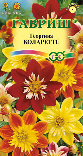 Коларетте Ц(Г)