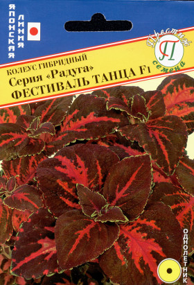 Радуга Фестиваль танца Ц(П)