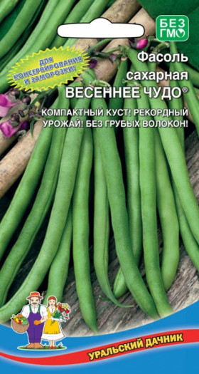Весеннее чудо сахарная Ц(УД)