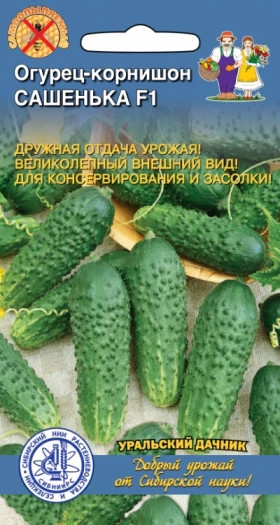 Сашенька корнишон Ц(УД)