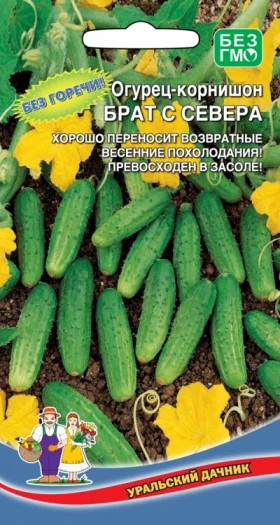 Брат с севера корнишон Ц(УД)
