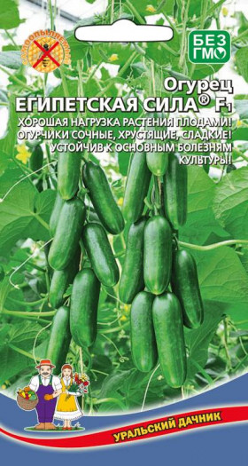 Египетская сила Ц(УД)