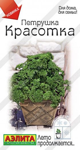 Красотка кудрявая Ц(А)