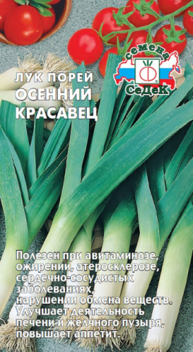 порей Осенний Красавец Ц(С)