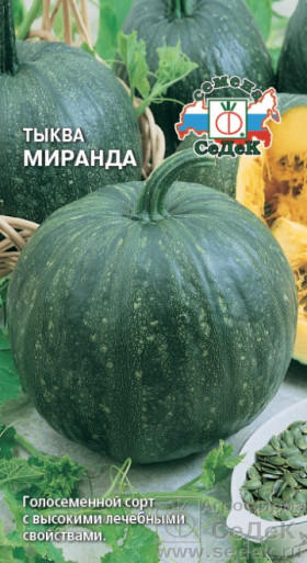 Миранда Ц(С)