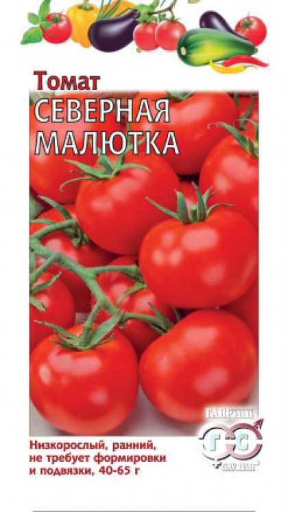 Северная Малютка Ц(Г)